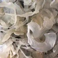 Tragacanth