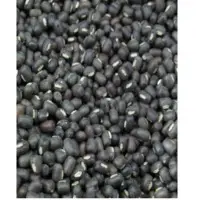 Black Gram