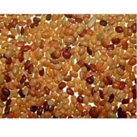 Horse Gram