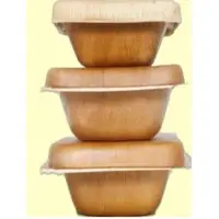 Areca Takeaway Container