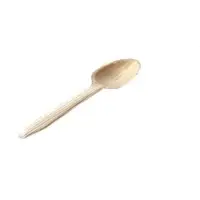 Spoon