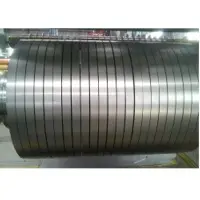 Stainless Steel Strip