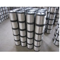 Stainless Steel Wire