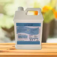 BIO-SANITIZER - Alcohol Free Sanitizer