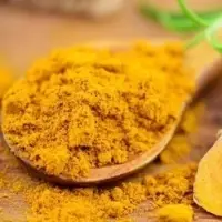 Turmeric Curcuma