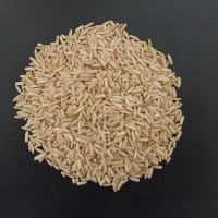 Brown Rice