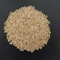 Brown Rice