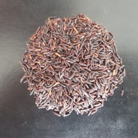 Black Rice
