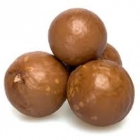 Macadamia Nuts