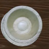 Areca Leaf Plates