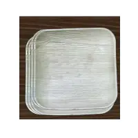 Areca Leaf Plates