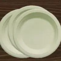 Areca Leaf Plates