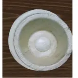 Areca Leaf Plates