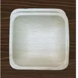 Areca leaf plates