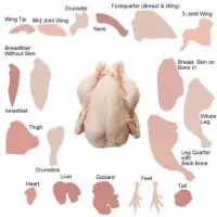 Chicken Paw, Feet, Mid-Wing