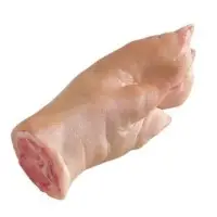 Front Feet