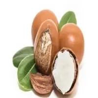 Shea Butter