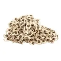 Moringa Seeds