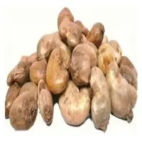 Raw Cashew Nuts