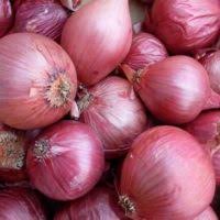 Red Onions