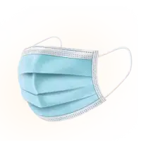 3 Ply Mask