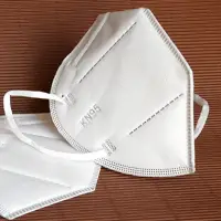 KN 95 Mask