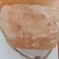 Animal Lick