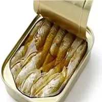 Canned Sardine In Oil