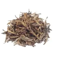 Golden Tip (GT)