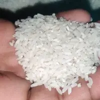 25% Broken Raw Rice Long Grains