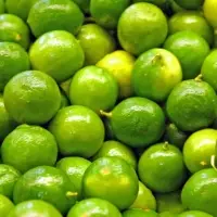Fresh Lime