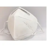 KN 95  Masks
