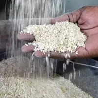 White Long Grain Rice