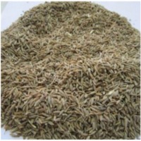 Cumin Seeds