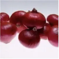 Red Onion