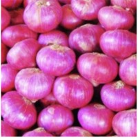 Pink Onion