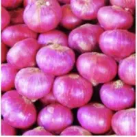 Pink Onion
