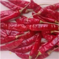 Red Chill
