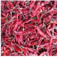 Red Hot Chilly