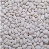 White Beans