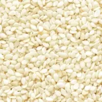 Sesame Seeds