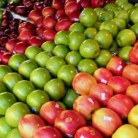 Fresh Apple