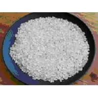 Short Grain Rice