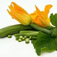 Zucchini