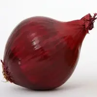 Onion