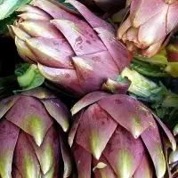 Artichoke Violet
