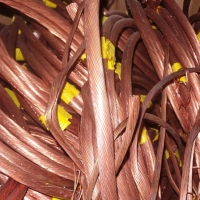 Copper Millberry