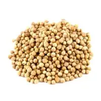 Coriander Seed