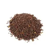 Mustard Seeds