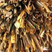 Split Cassia